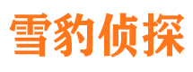 吉隆市私家侦探